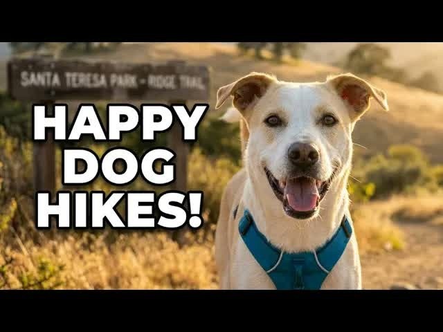 Santa Teresa County Park | The Most Relaxing Hike Near San Jose